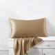 Cappuccino 22 Momme Mulberry Silk Pillowcase with Hidden Zipper Canada