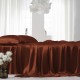 Rust Red 22 Momme Mulberry Silk Sheet Set Canada